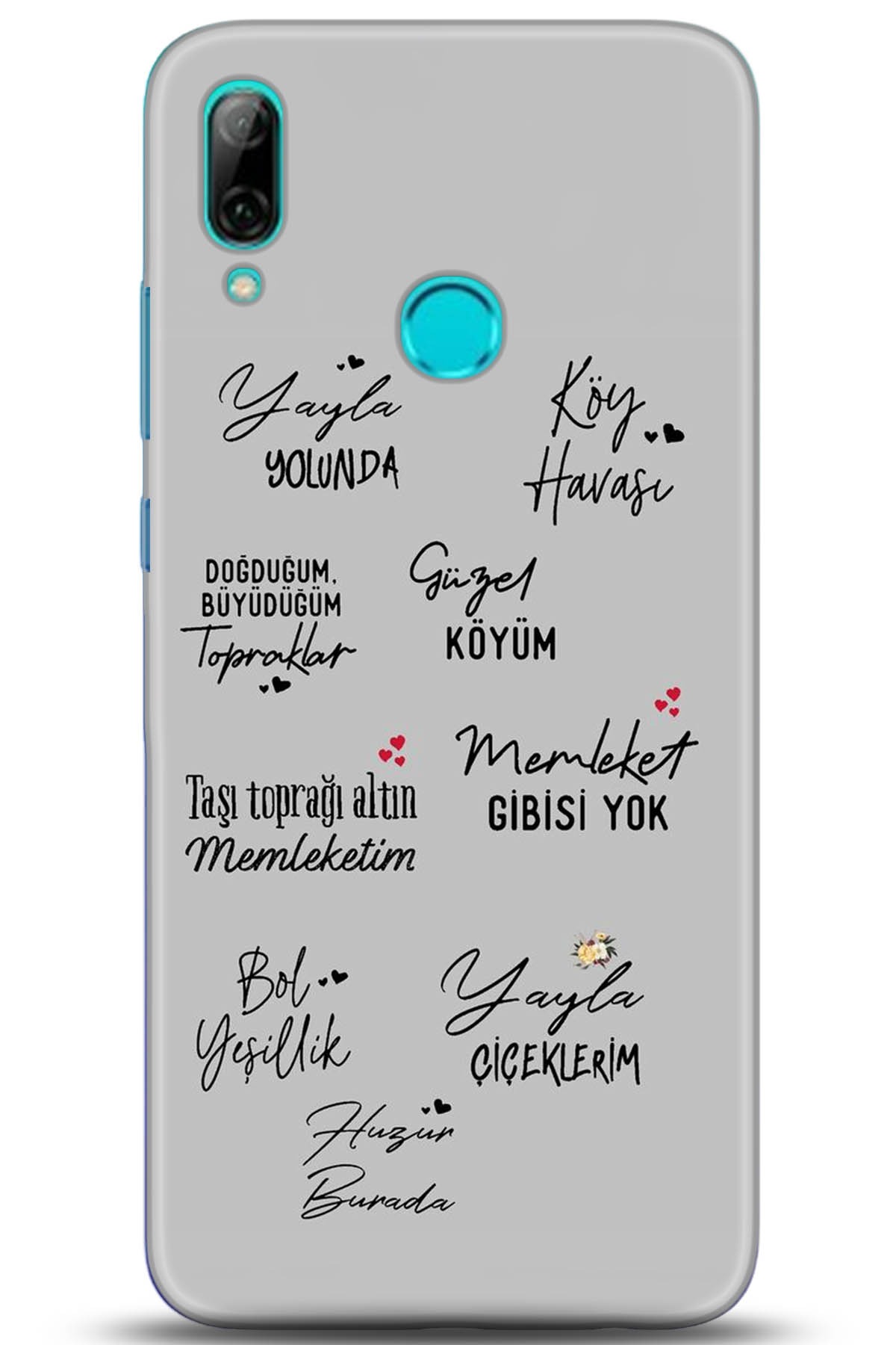 Huawei P Smart 2019 Uyumlu Kılıf HD Baskılı Kılıf - Followed Institution 5210