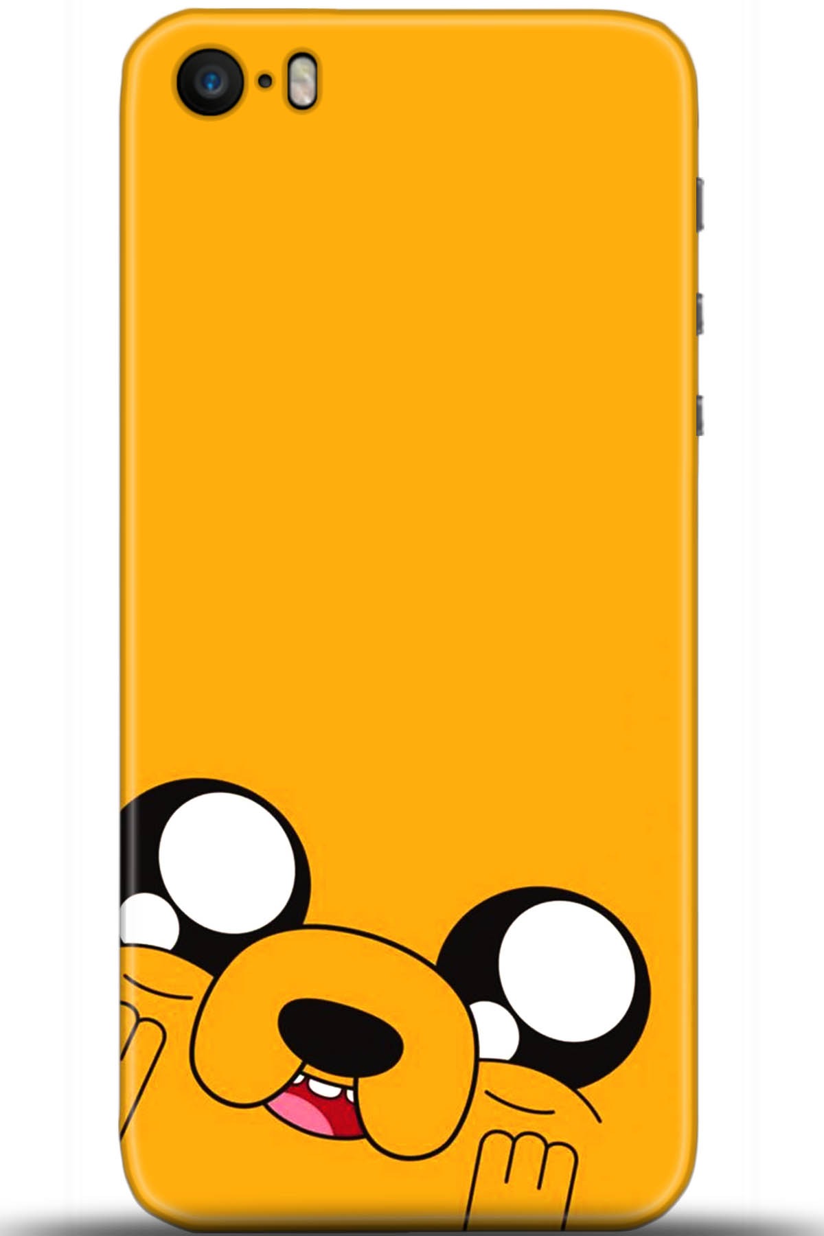 Apple iPhone 5S Uyumlu Kılıf HD Baskılı Kılıf - Followed Institution 5531