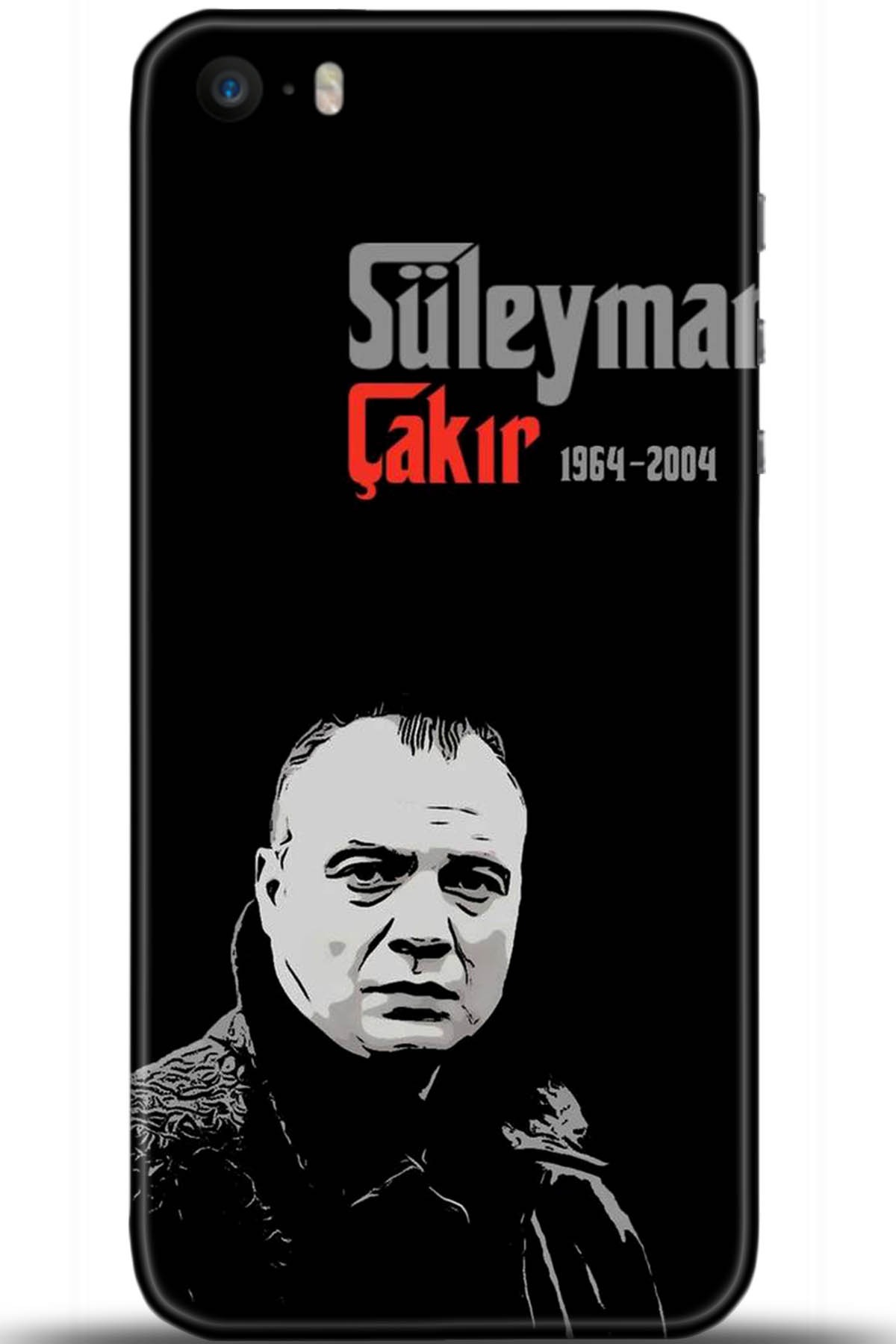 Apple iPhone 5S Uyumlu Kılıf HD Baskılı Kılıf - Followed Institution 5625