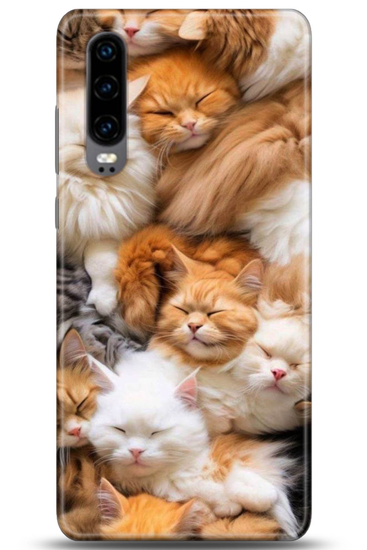 Huawei P30 Uyumlu Kılıf HD Baskılı Kılıf - Followed Institution 5234