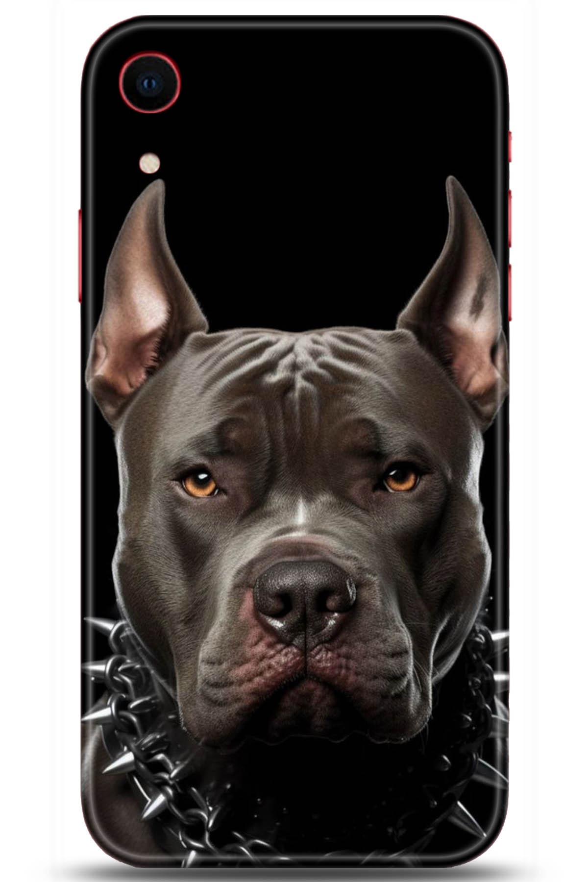 Apple iPhone XR Uyumlu Kılıf HD Baskılı Kılıf - Followed Institution 5104