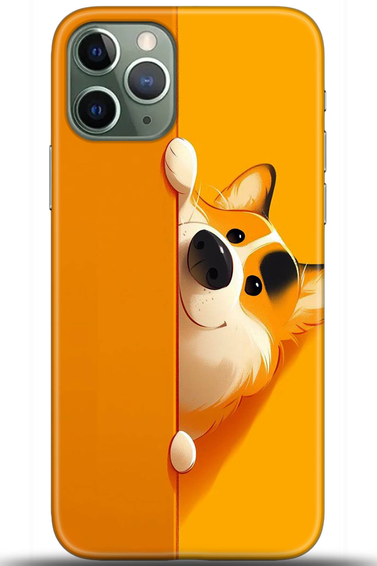 Apple iPhone 11 Pro Max Uyumlu Kılıf HD Baskılı Kılıf - Followed Institution 5460