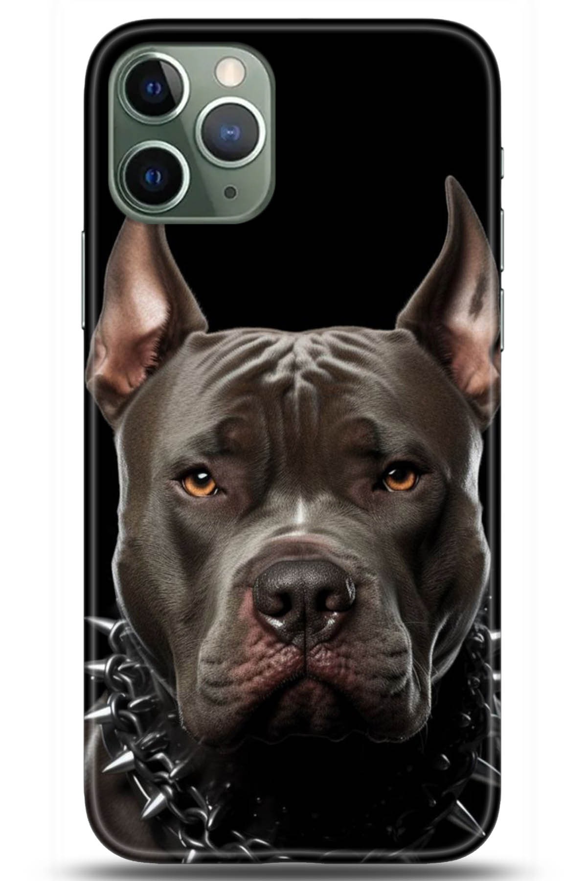 Apple iPhone 11 Pro Uyumlu Kılıf HD Baskılı Kılıf - Followed Institution 5104