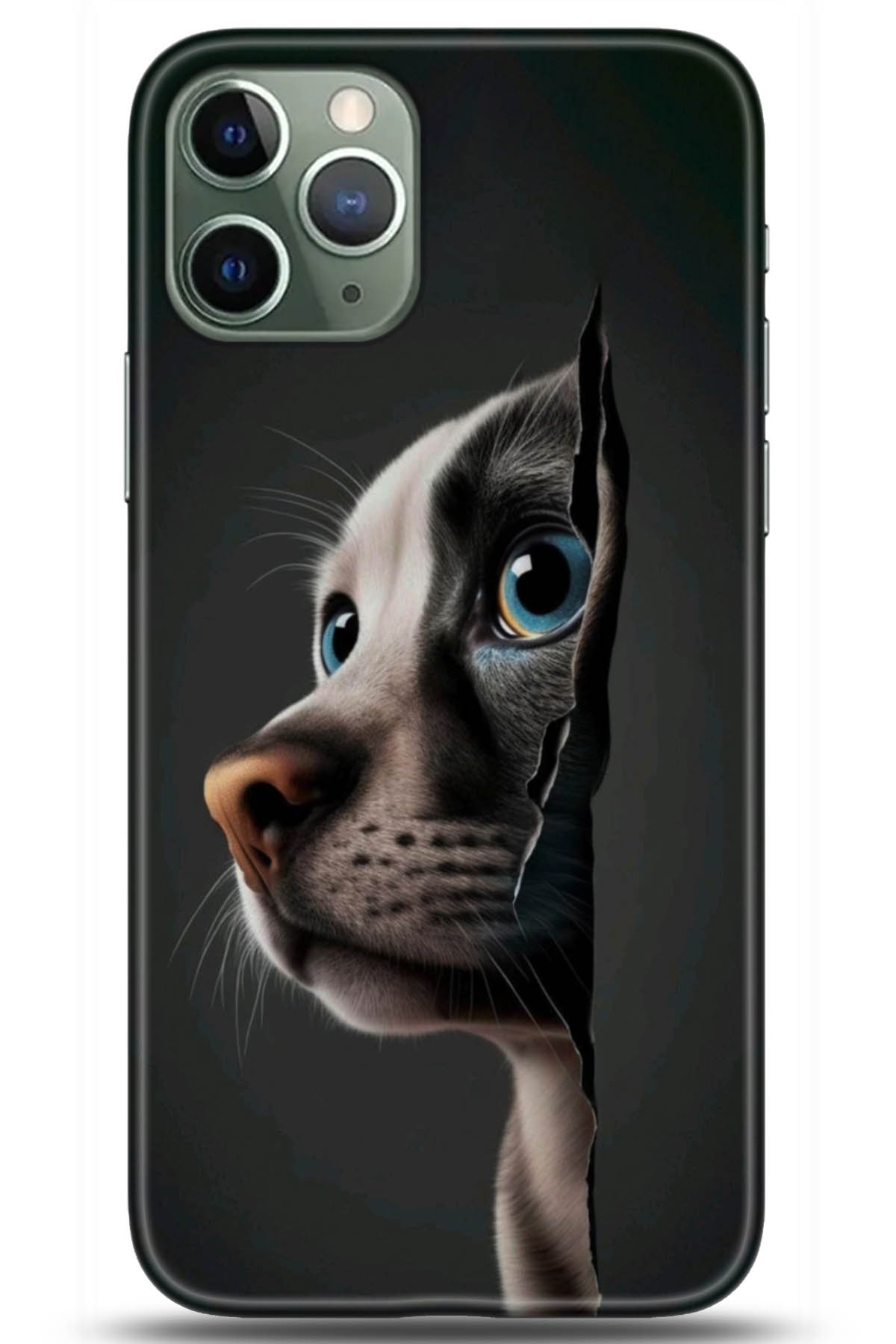 Apple iPhone 11 Pro Uyumlu Kılıf HD Baskılı Kılıf - Followed Institution 5108