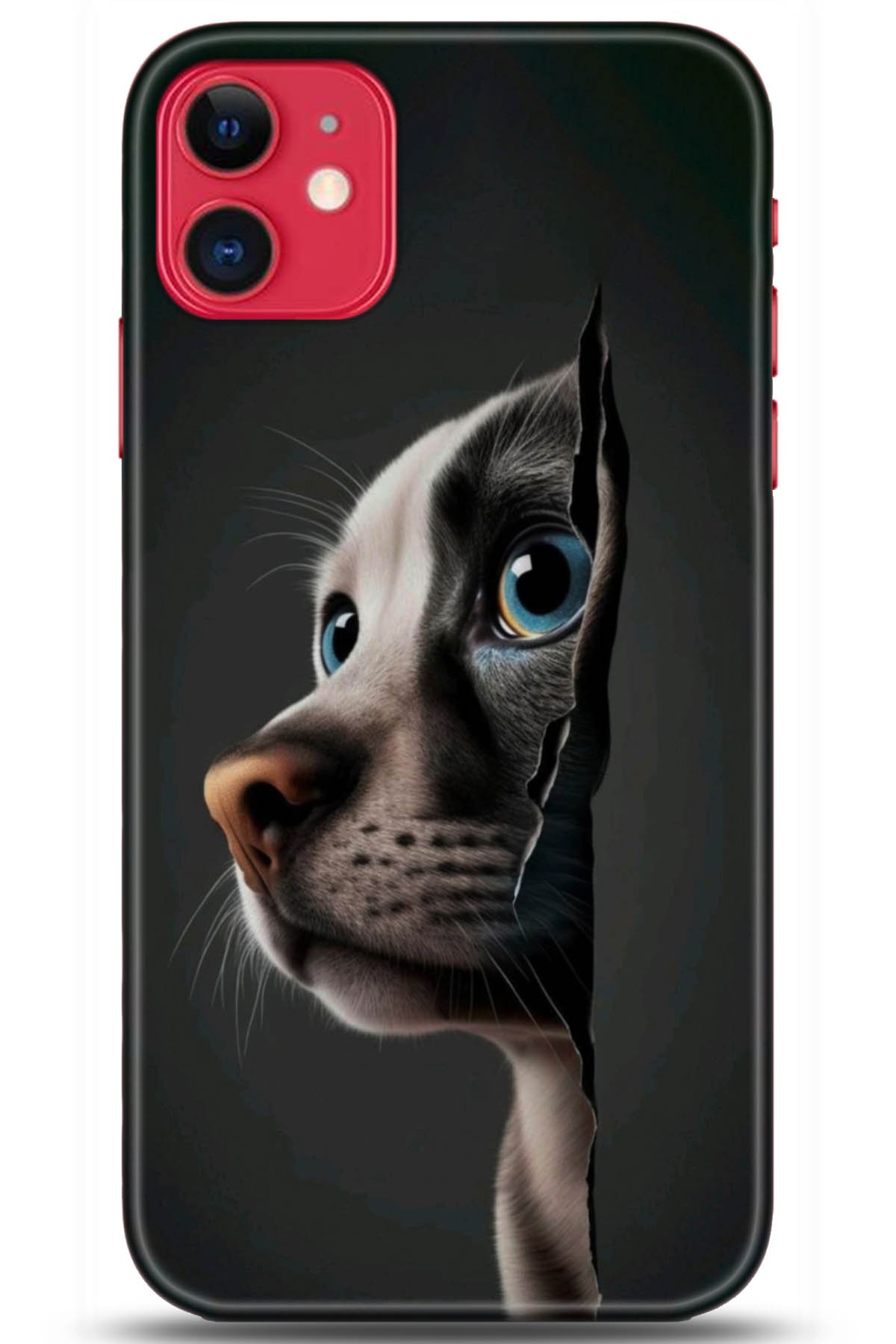 Apple iPhone 11 Uyumlu Kılıf HD Baskılı Kılıf - Followed Institution 5108