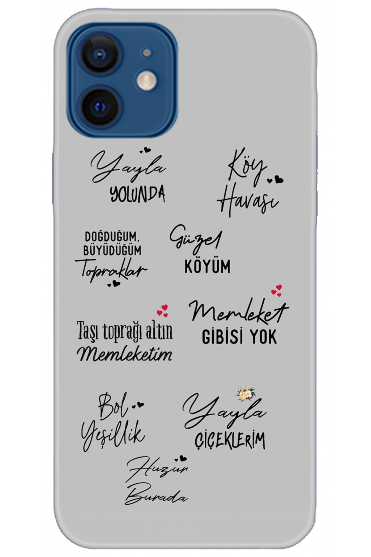 Apple iPhone 12 Mini Uyumlu Kılıf HD Baskılı Kılıf - Followed Institution 5210