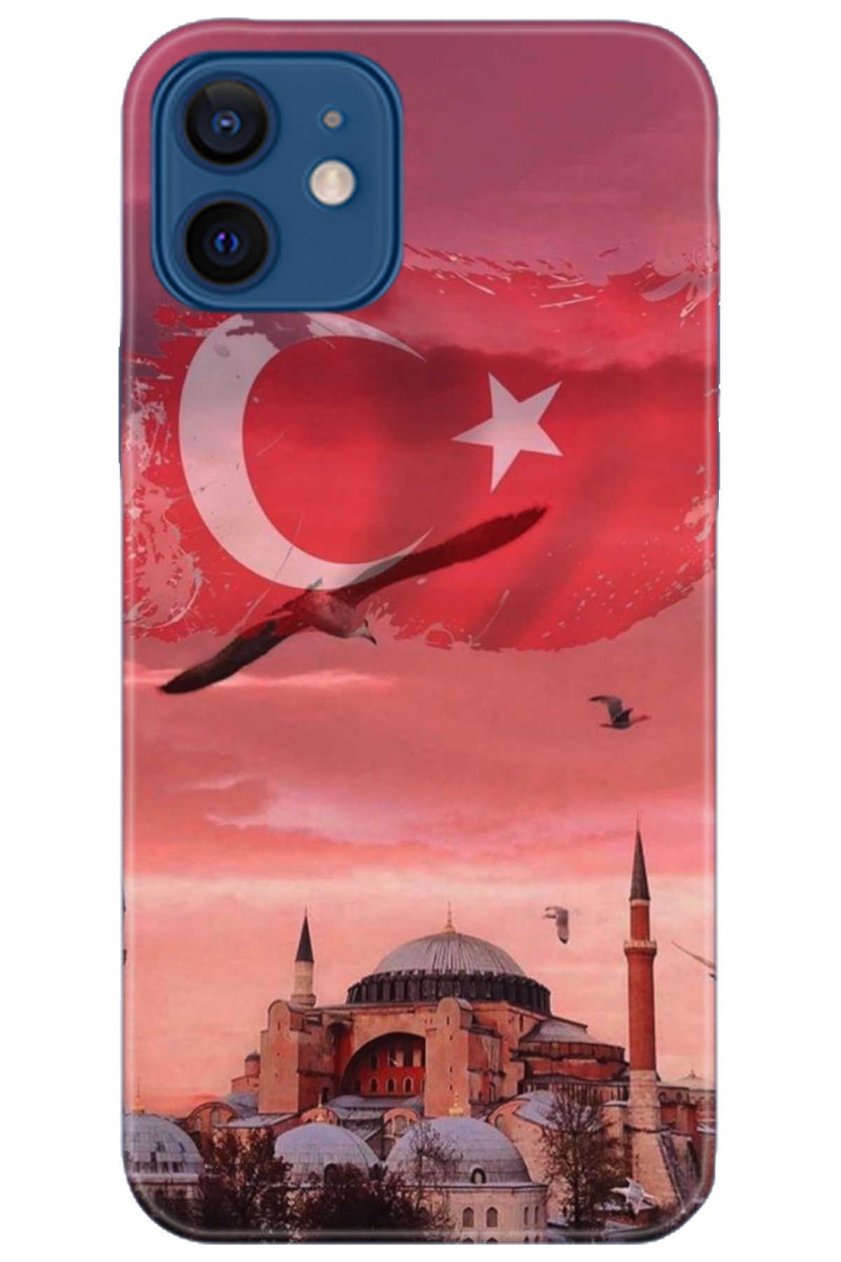 Apple iPhone 12 6.1inç Uyumlu Kılıf HD Baskılı Kılıf - Followed Institution 5179