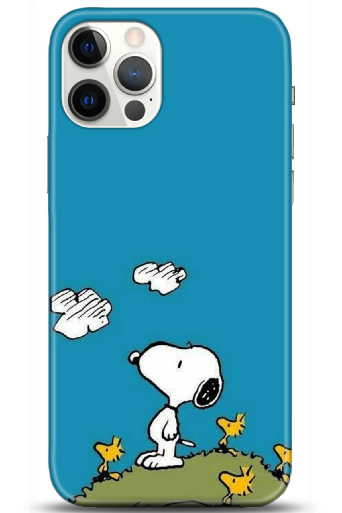 Apple iPhone 12 Pro 6.1inç Uyumlu Kılıf HD Baskılı Kılıf - Followed Institution 5099