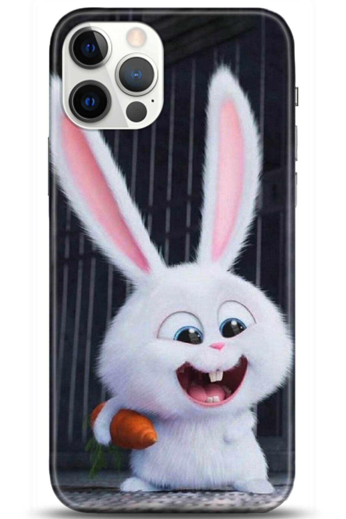 Apple iPhone 12 Pro Max 6.7inç Uyumlu Kılıf HD Baskılı Kılıf - Followed Institution 5048