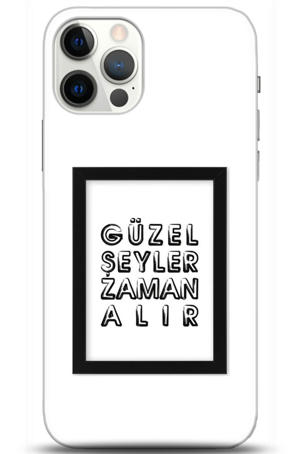 Apple iPhone 12 Pro Max 6.7inç Uyumlu Kılıf HD Baskılı Kılıf - Followed Institution 5307