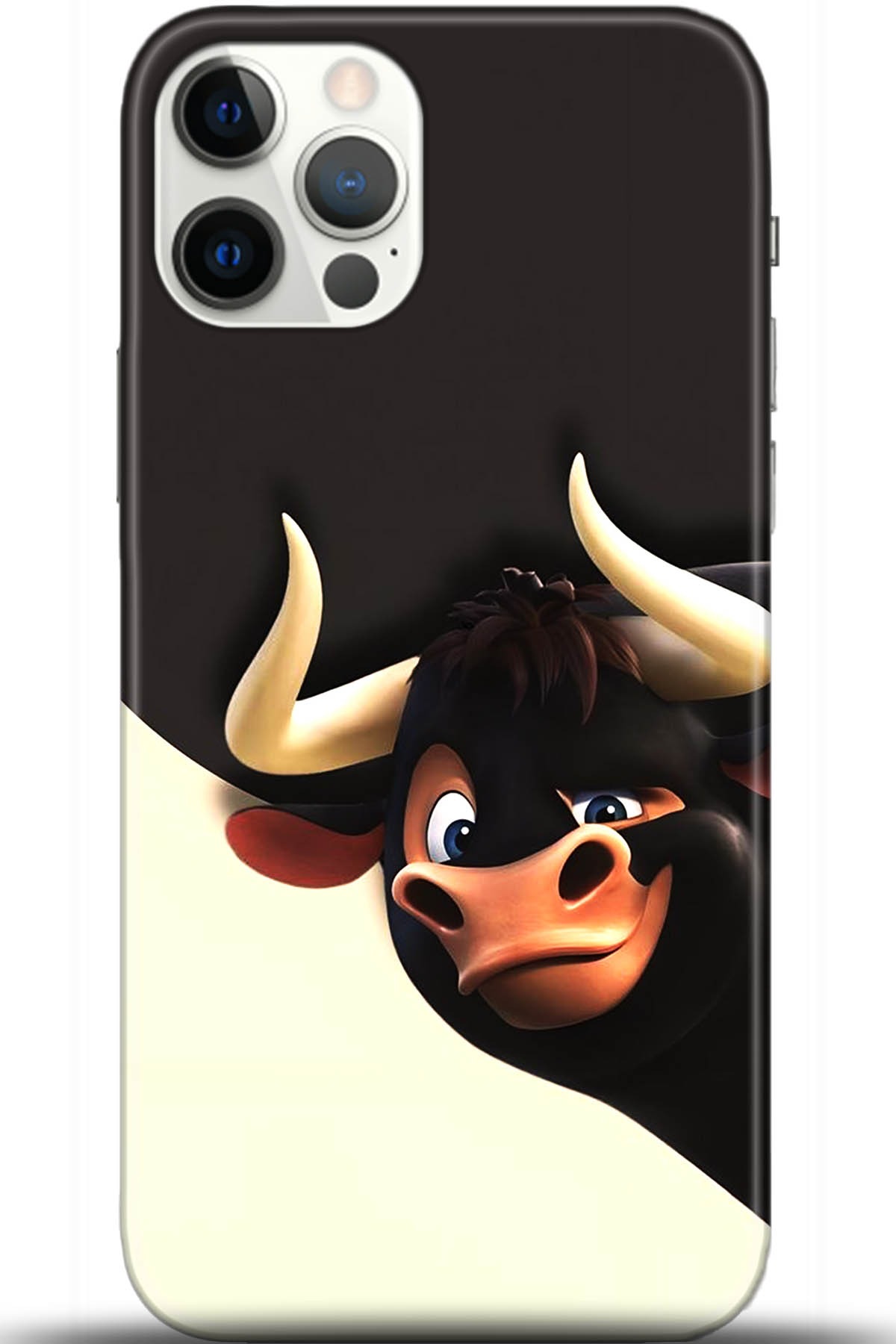 Apple iPhone 12 Pro Max 6.7inç Uyumlu Kılıf HD Baskılı Kılıf - Followed Institution 5608