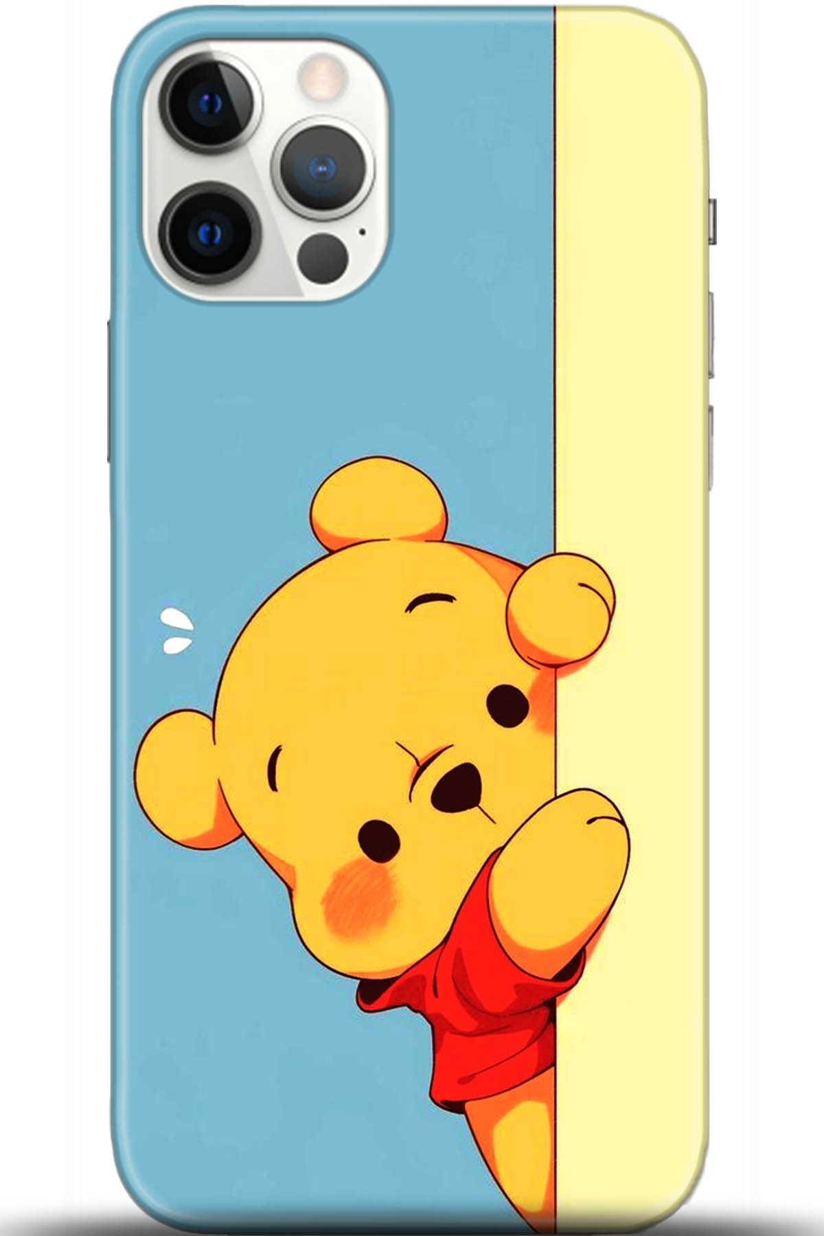 Apple iPhone 12 Pro Max 6.7inç Uyumlu Kılıf HD Baskılı Kılıf - Followed Institution 5648