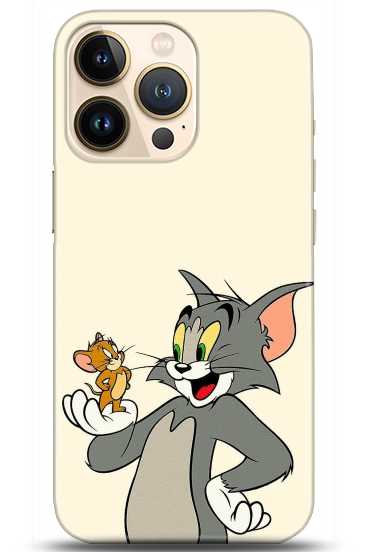 Apple iPhone 13 Pro Uyumlu Kılıf HD Baskılı Kılıf - Followed Institution 5030