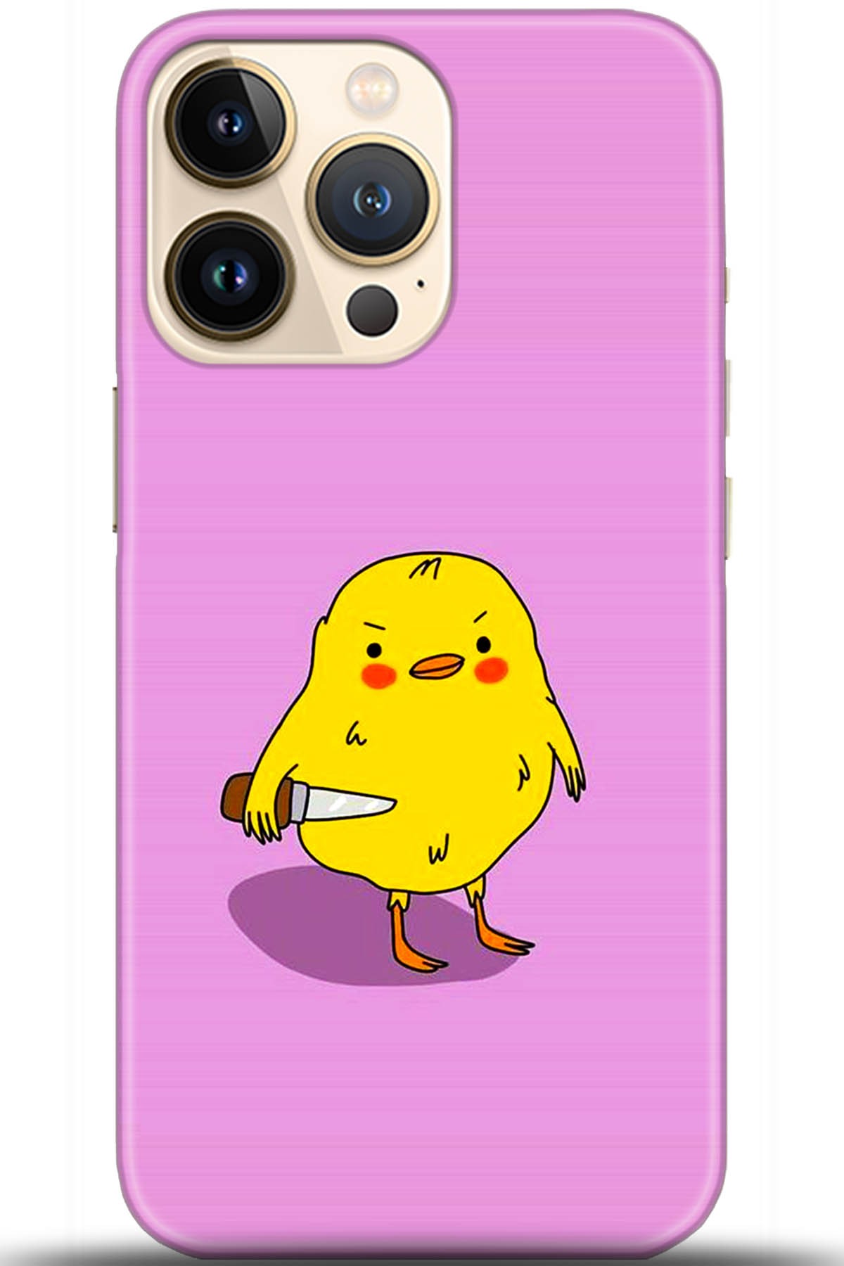 Apple iPhone 13 Pro Uyumlu Kılıf HD Baskılı Kılıf - Followed Institution 5475