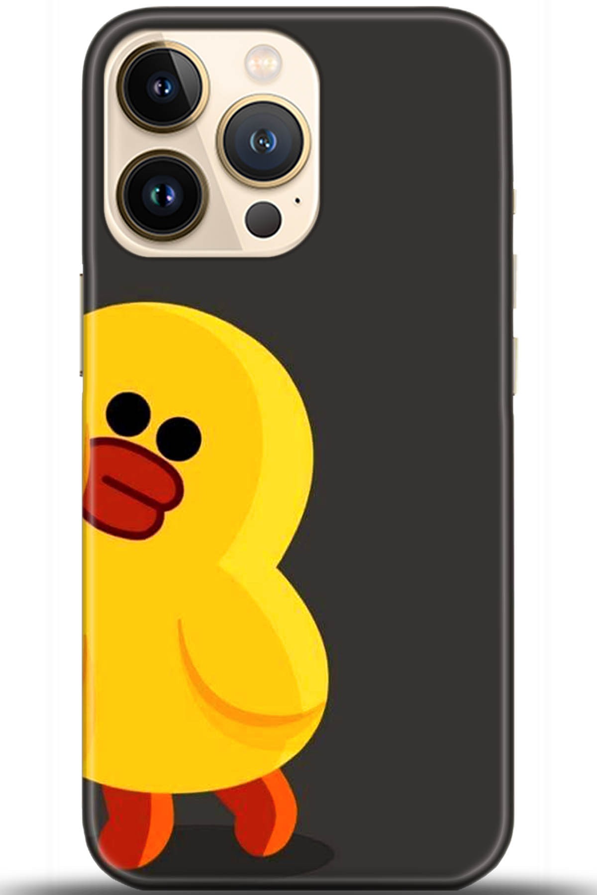 Apple iPhone 13 Pro Uyumlu Kılıf HD Baskılı Kılıf - Followed Institution 5519