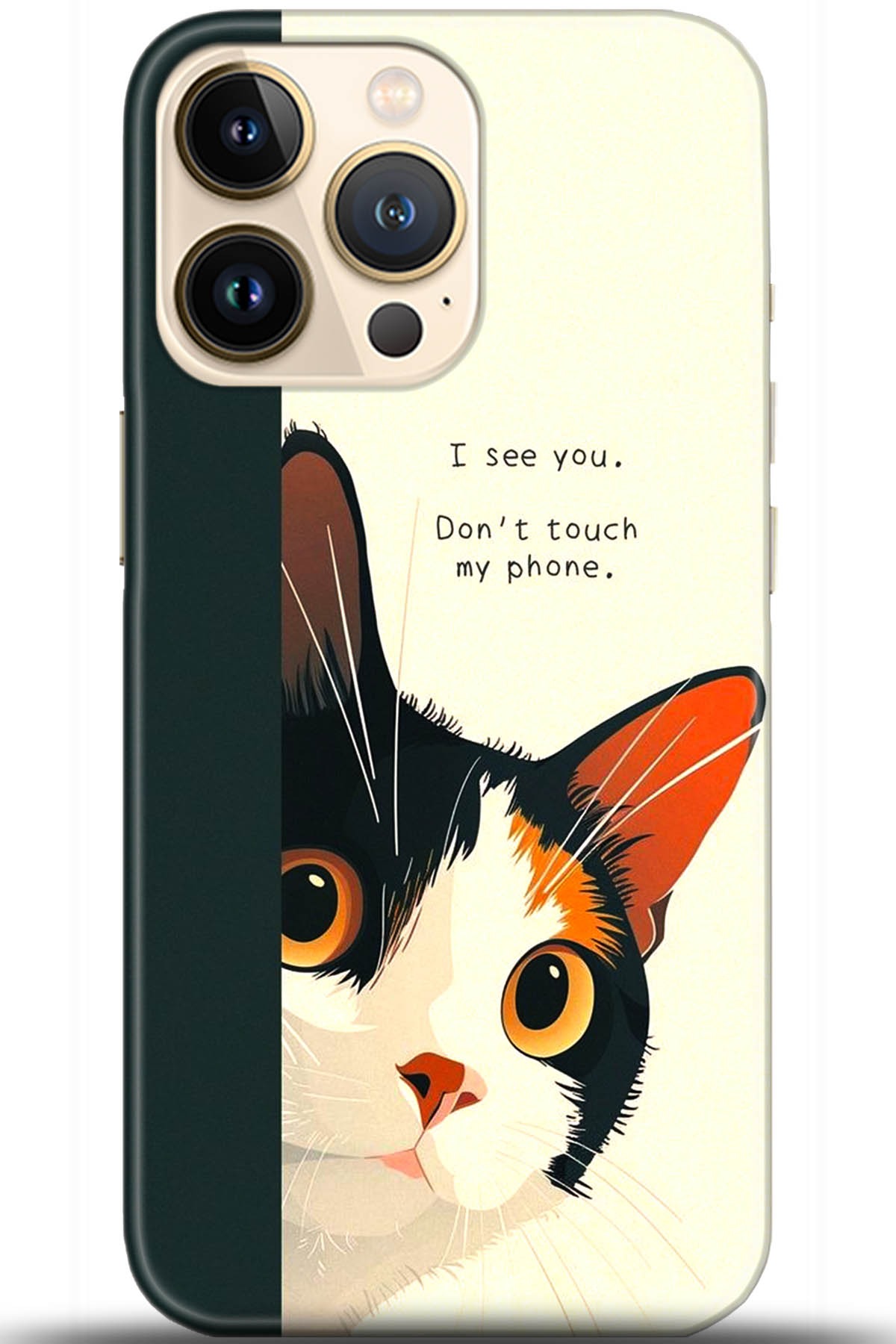 Apple iPhone 13 Pro Uyumlu Kılıf HD Baskılı Kılıf - Followed Institution 5649