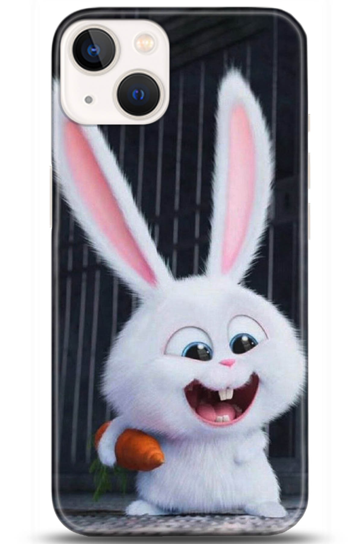 Apple iPhone 13 Mini Uyumlu Kılıf HD Baskılı Kılıf - Followed Institution 5048