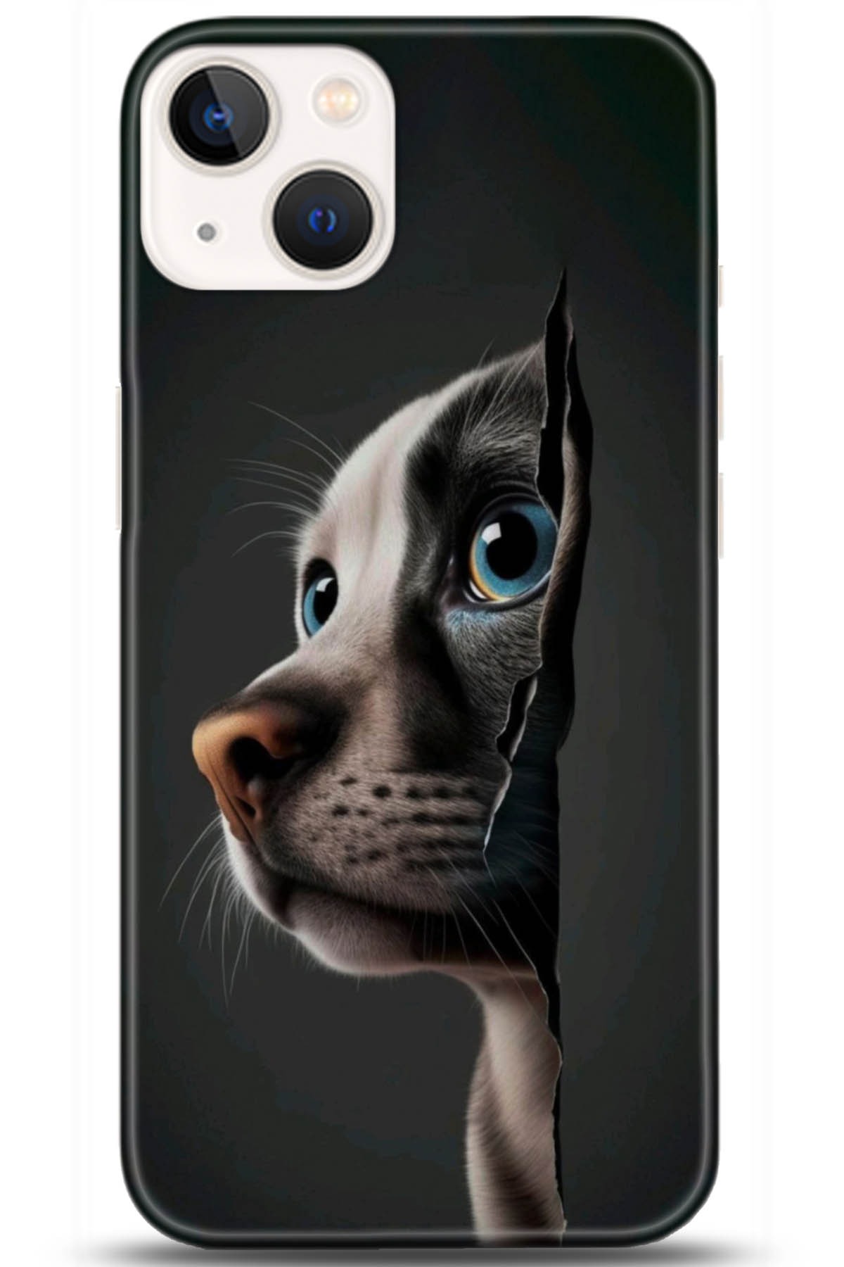 Apple iPhone 13 Mini Uyumlu Kılıf HD Baskılı Kılıf - Followed Institution 5108