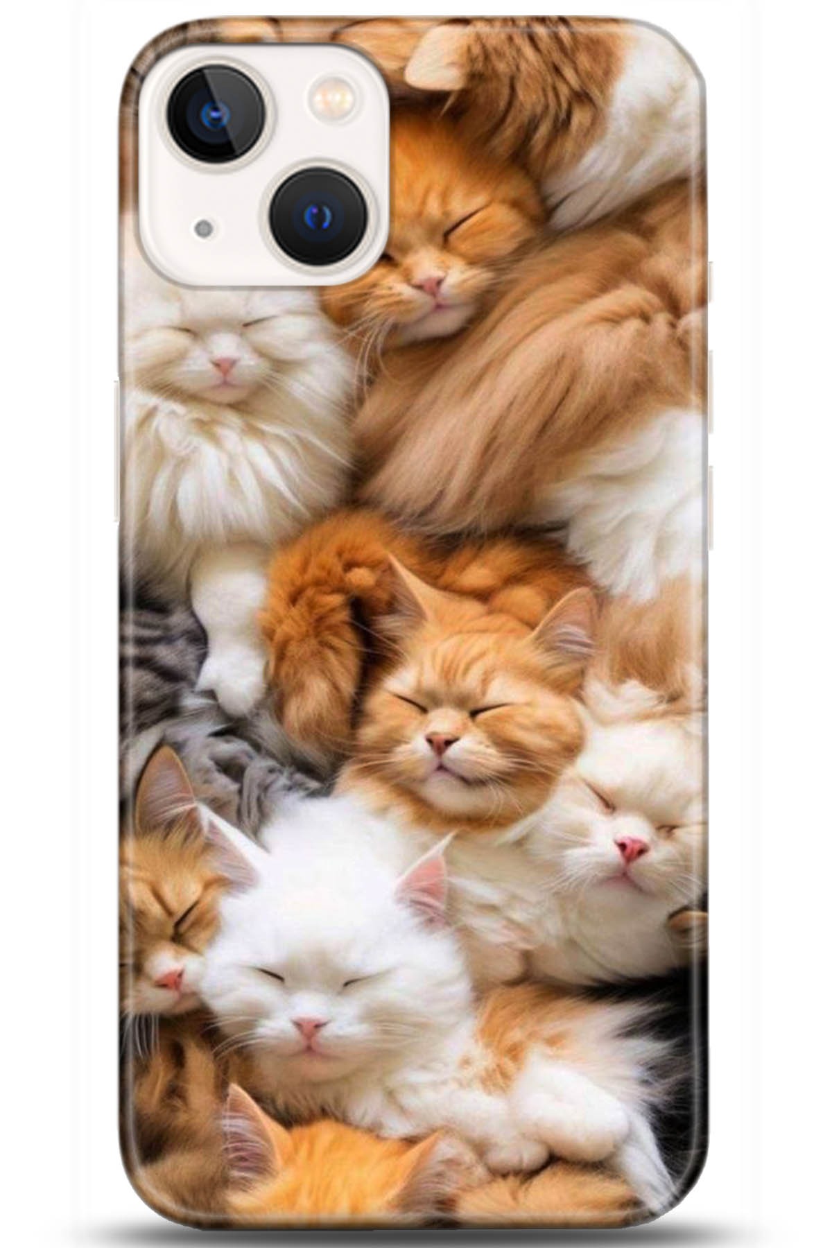 Apple iPhone 13 Mini Uyumlu Kılıf HD Baskılı Kılıf - Followed Institution 5234