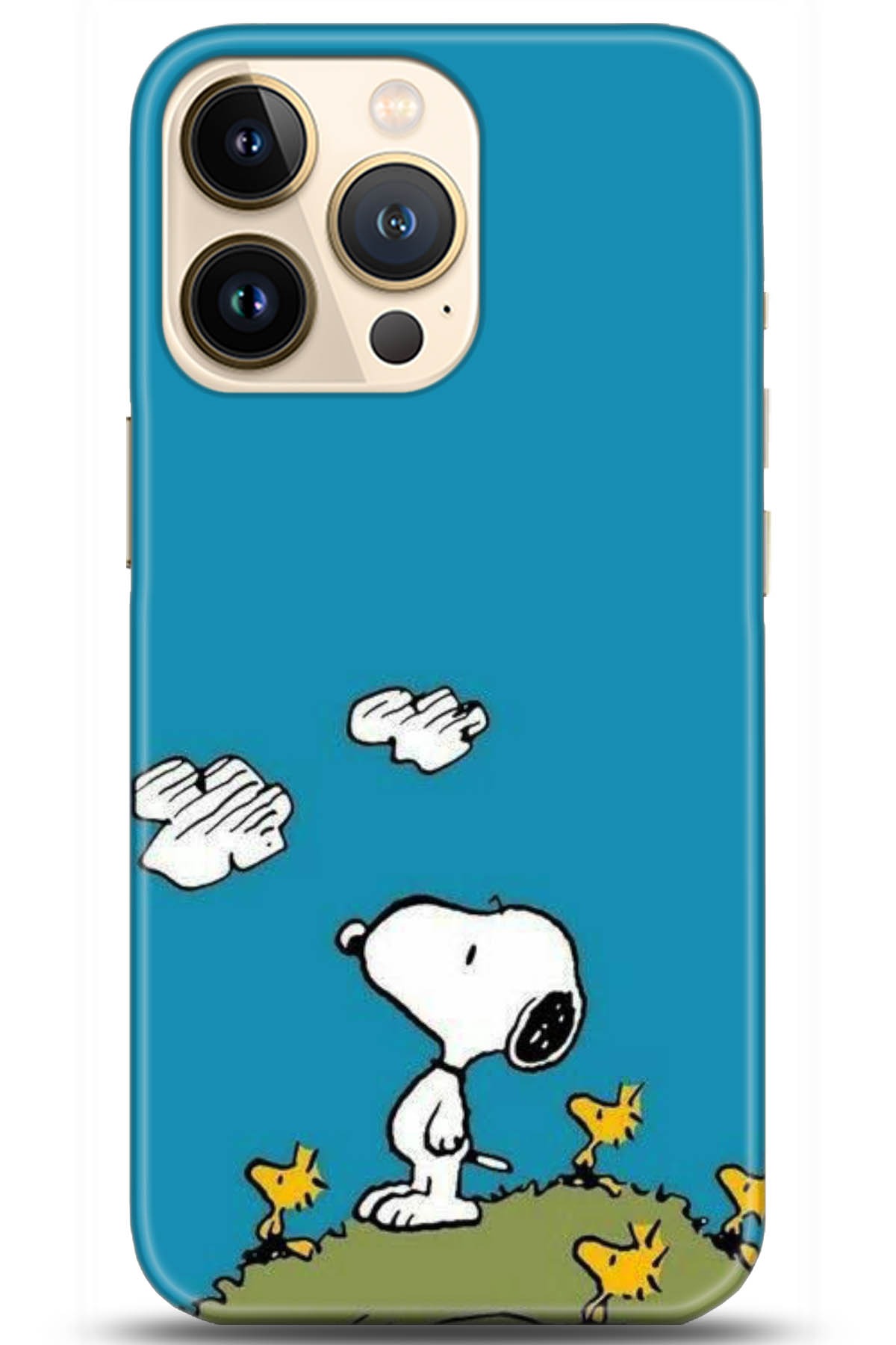 Apple iPhone 13 Pro Max Uyumlu Kılıf HD Baskılı Kılıf - Followed Institution 5099