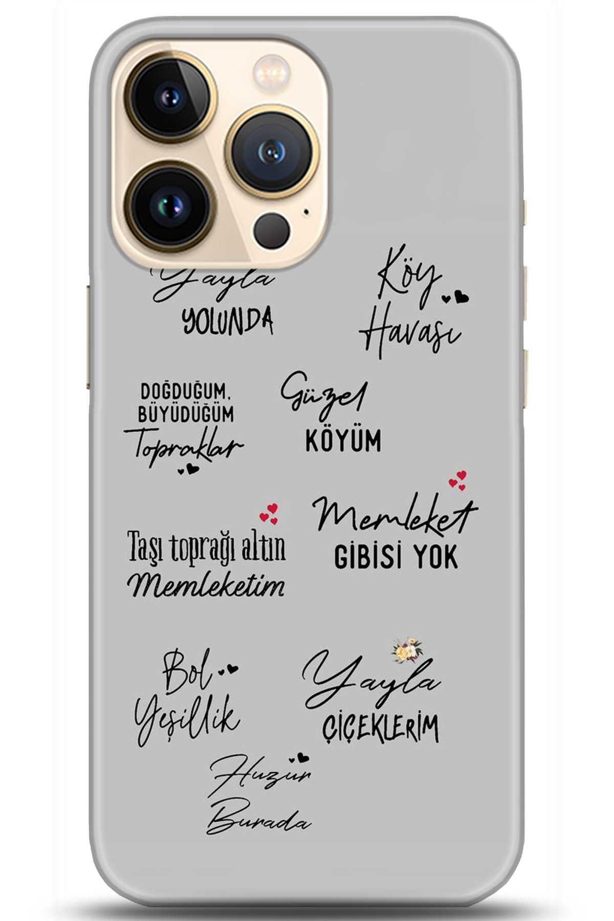 Apple iPhone 13 Pro Max Uyumlu Kılıf HD Baskılı Kılıf - Followed Institution 5210