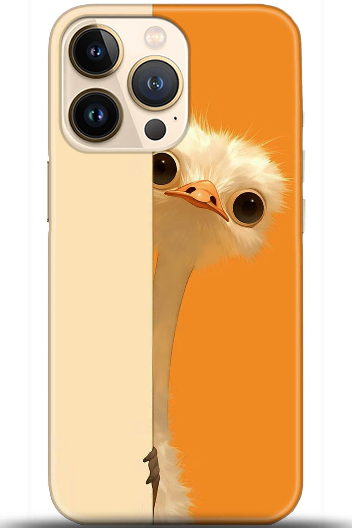 Apple iPhone 13 Pro Max Uyumlu Kılıf HD Baskılı Kılıf - Followed Institution 5418