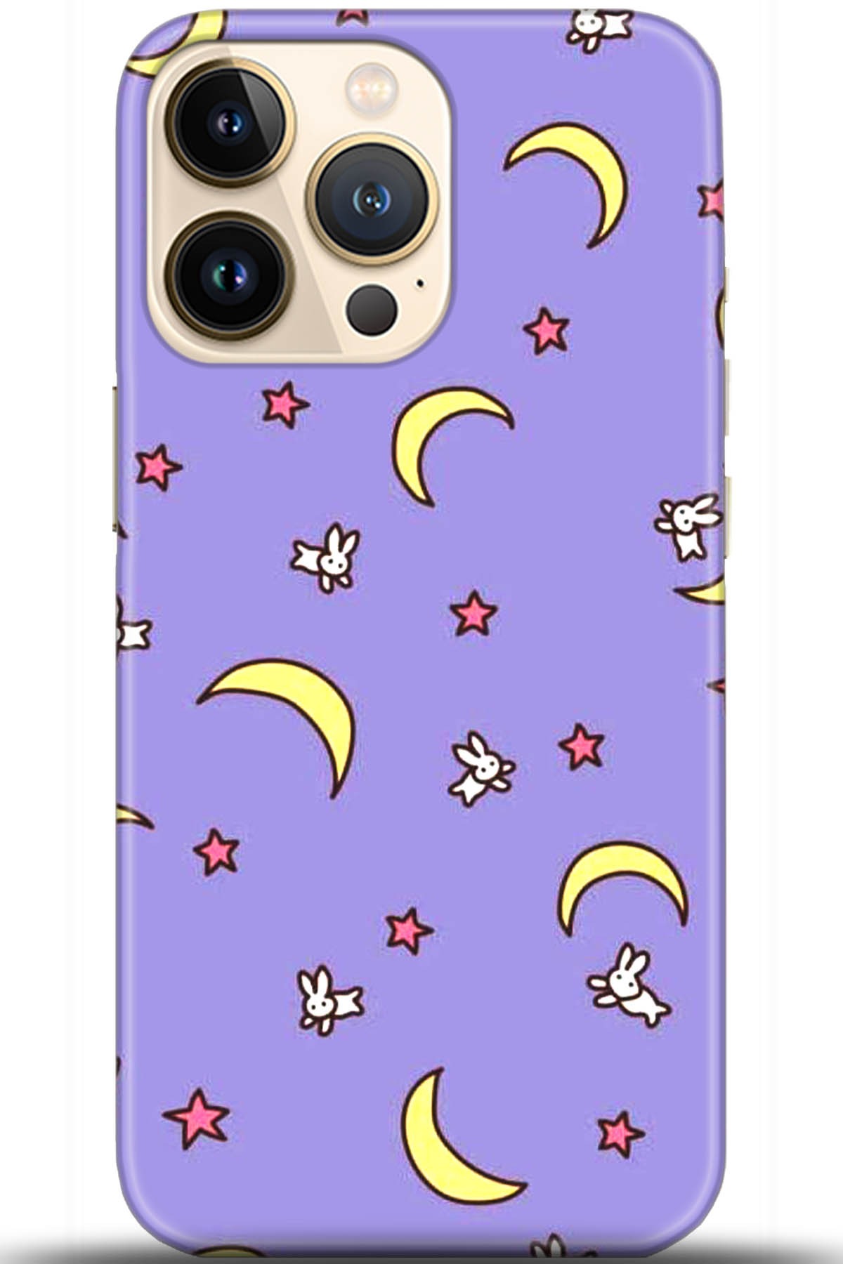 Apple iPhone 13 Pro Max Uyumlu Kılıf HD Baskılı Kılıf - Followed Institution 5523