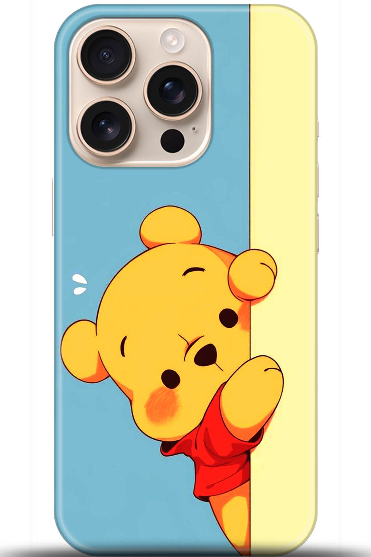 Apple iPhone 16 Pro Uyumlu Kılıf HD Baskılı Kılıf - Followed Institution 5648