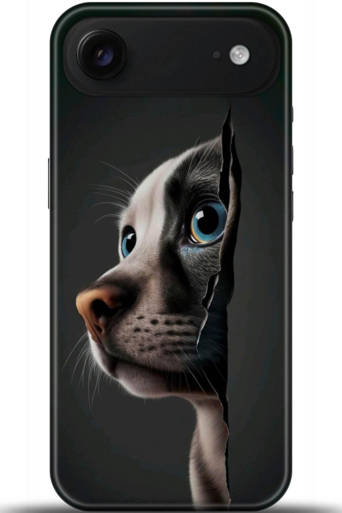 Apple iPhone Air Uyumlu Kılıf HD Baskılı Kılıf - Followed Institution 5108